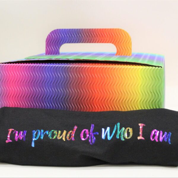 Regenboogbox - T-shirt