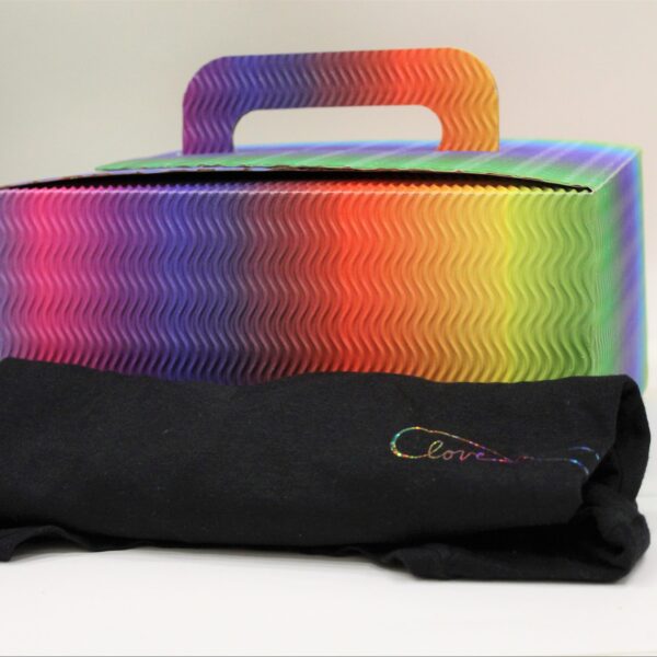 Regenboogbox - T-shirt - Afbeelding 2
