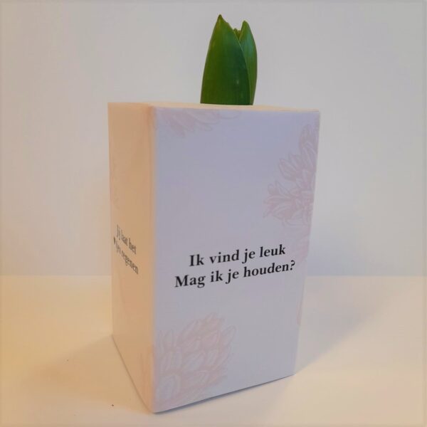Ik vind je leuk - Hyacintbol