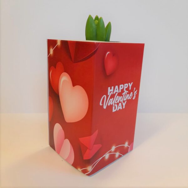 Happy Valentine´s day - Hyacintbol