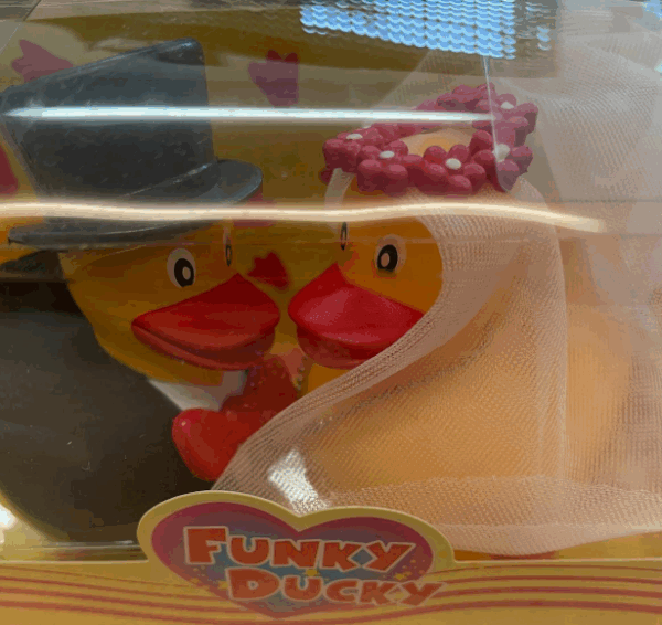 Funky ducky  - bruidspaar in doosje - Afbeelding 2